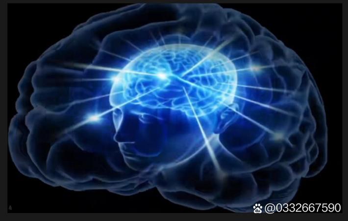 北京某小区业主与物业爆发激烈冲突，数百人聚集维权
